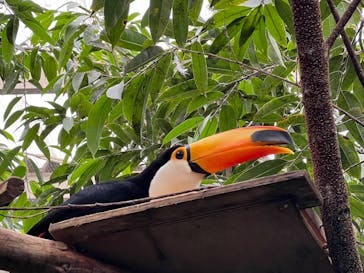 那須どうぶつ王国に投稿された画像（2024/12/29）