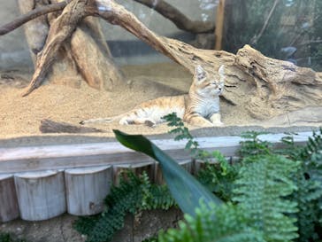 神戸どうぶつ王国に投稿された画像（2024/12/29）