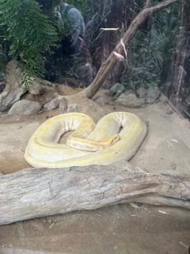 神戸どうぶつ王国に投稿された画像（2024/12/29）