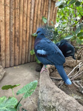 神戸どうぶつ王国に投稿された画像（2024/12/29）