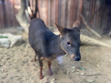 神戸どうぶつ王国に投稿された画像（2024/12/29）