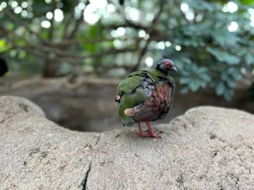 神戸どうぶつ王国に投稿された画像（2024/12/29）