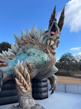 ニジゲンノモリに投稿された画像（2024/12/29）