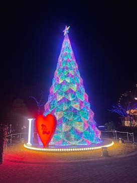 みろくの里に投稿された画像（2024/12/29）