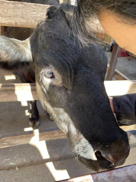 宇都宮動物園に投稿された画像（2024/12/29）