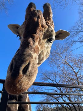 宇都宮動物園に投稿された画像（2024/12/29）