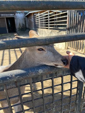 宇都宮動物園に投稿された画像（2024/12/29）