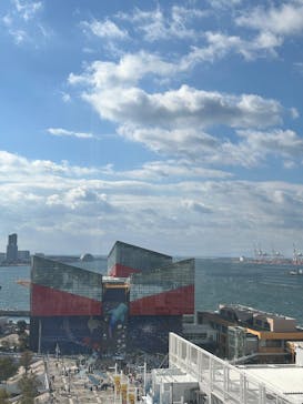 天保山大観覧車に投稿された画像（2024/12/29）