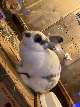 伊豆高原グランイルミに投稿された画像（2024/12/29）