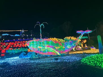 伊豆高原グランイルミに投稿された画像（2024/12/29）