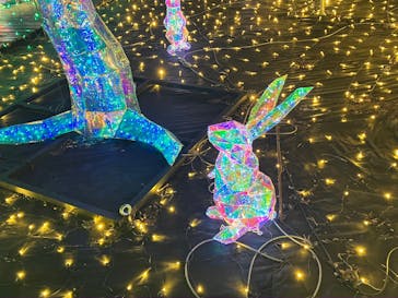 伊豆高原グランイルミに投稿された画像（2024/12/29）