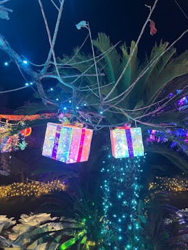 伊豆高原グランイルミに投稿された画像（2024/12/29）