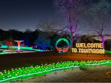 つま恋イルミネーションに投稿された画像（2024/12/29）