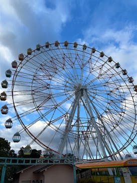 浜名湖パルパルに投稿された画像（2024/12/29）
