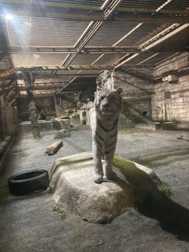 東武動物公園に投稿された画像（2024/12/29）