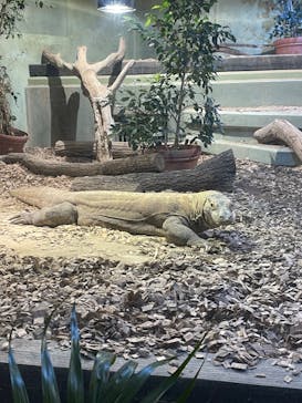 名古屋市東山動植物園に投稿された画像（2024/12/29）