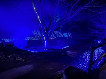 NESTA RESORT KOBE（ネスタリゾート神戸）に投稿された画像（2024/12/29）