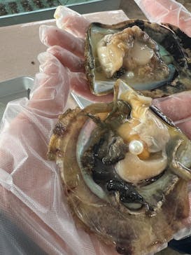 真珠工房 真珠の里に投稿された画像（2024/12/21）