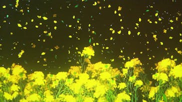 動き出す浮世絵展 TOKYOに投稿された画像（2024/12/29）