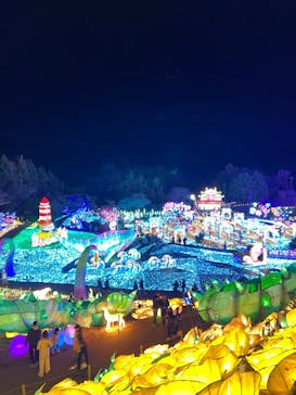 伊豆高原グランイルミに投稿された画像（2024/12/29）