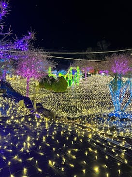 伊豆高原グランイルミに投稿された画像（2024/12/29）
