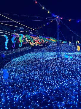 伊豆高原グランイルミに投稿された画像（2024/12/29）