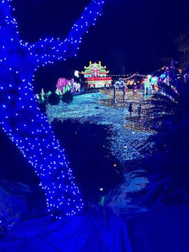 伊豆高原グランイルミに投稿された画像（2024/12/29）