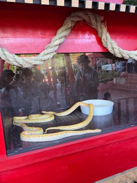 おきなわワールドに投稿された画像（2024/12/29）