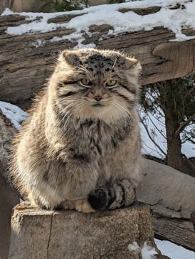 那須どうぶつ王国に投稿された画像（2024/12/29）