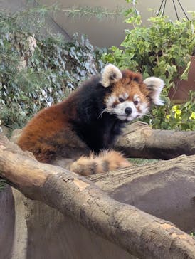 那須どうぶつ王国に投稿された画像（2024/12/29）