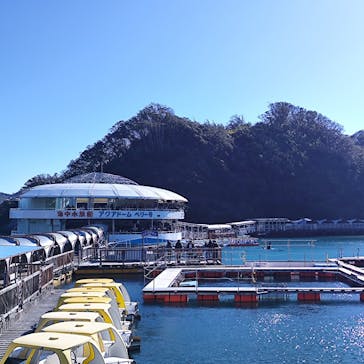 下田海中水族館に投稿された画像（2024/12/29）