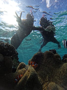 宮古島 ADVENTURE PiPi（ミヤコジマ アドベンチャー ピピ）に投稿された画像（2024/12/29）