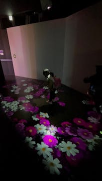 神戸ポートタワーに投稿された画像（2024/12/29）