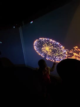 神戸ポートタワーに投稿された画像（2024/12/29）