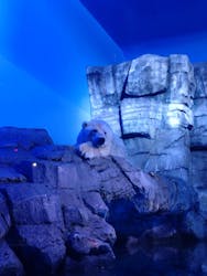 【使用不可】横浜・八景島シーパラダイスに投稿された画像（2024/12/29）