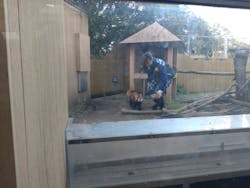 【使用不可】横浜・八景島シーパラダイスに投稿された画像（2024/12/29）