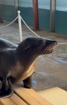 那須どうぶつ王国に投稿された画像（2024/12/29）