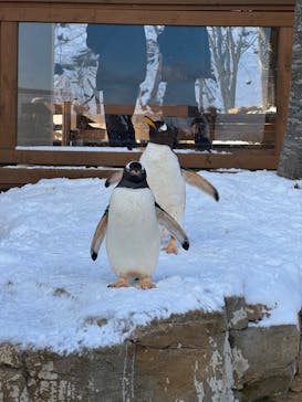 那須どうぶつ王国に投稿された画像（2024/12/29）