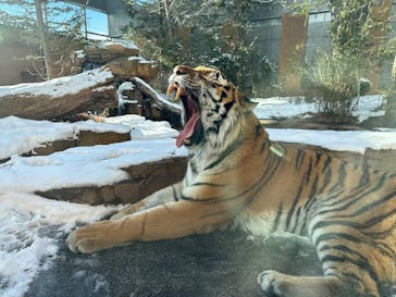 那須どうぶつ王国に投稿された画像（2024/12/29）