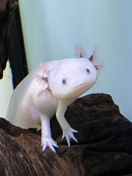 サンシャイン水族館に投稿された画像（2024/12/29）