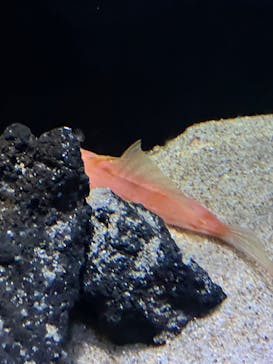 サンシャイン水族館に投稿された画像（2024/12/29）