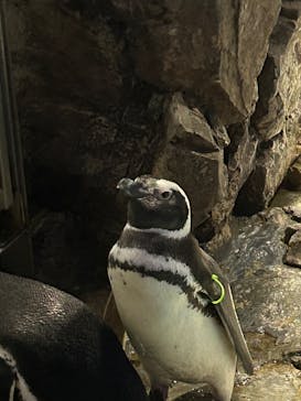すみだ水族館に投稿された画像（2024/12/29）