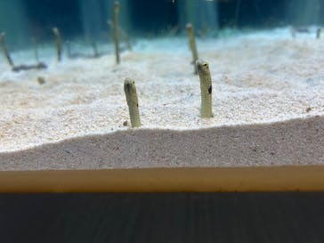 すみだ水族館に投稿された画像（2024/12/29）