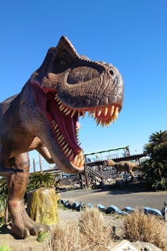 伊豆ぐらんぱる公園に投稿された画像（2024/12/29）