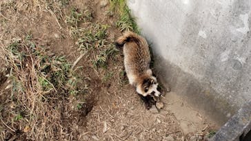 東武動物公園に投稿された画像（2024/12/29）