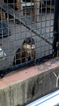 東武動物公園に投稿された画像（2024/12/29）