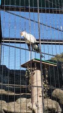 東武動物公園に投稿された画像（2024/12/29）