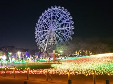 東武動物公園に投稿された画像（2024/12/29）