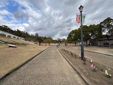 淡路ファームパーク イングランドの丘に投稿された画像（2024/12/29）