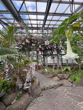 淡路ファームパーク イングランドの丘に投稿された画像（2024/12/29）